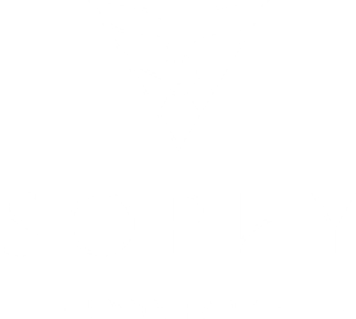 Sophy Logo